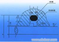 �A����Ȧ��˹�ط⣩